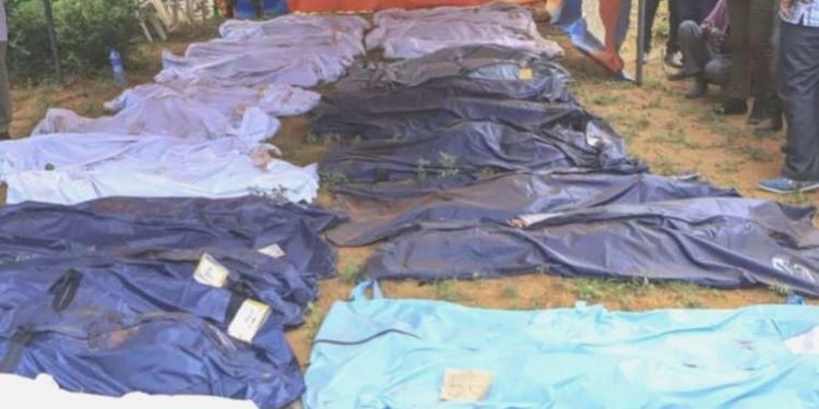 Kenya’da ‘açlık tarikatı’ soruşturmasında, kayıp 613 kişi aranıyor