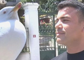 Kopan Kulağı Martı Kapmıştı: O Olayı Anlattı