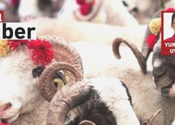 Kurban Fiyatları Uçtu