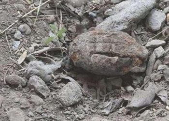 Kurtuluş Savaşı’ndan kalma el bombası bulundu