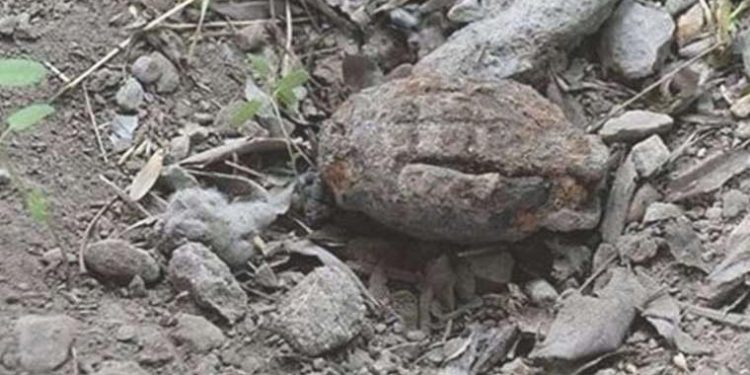 Kurtuluş Savaşı’ndan kalma el bombası bulundu