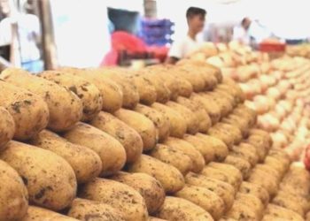 Mayıs ayında fiyatı en çok artan ve azalan eserler muhakkak oldu