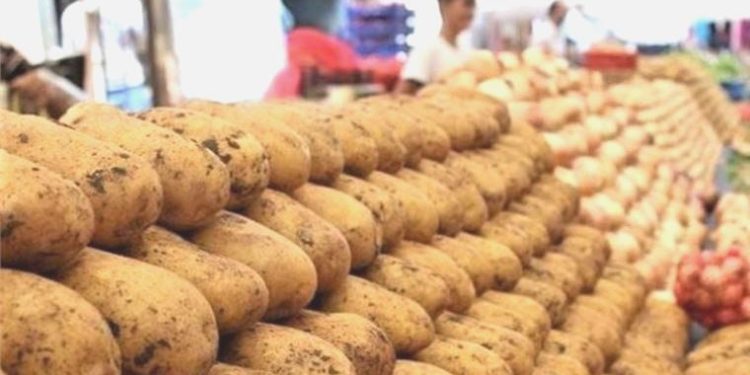 Mayıs ayında fiyatı en çok artan ve azalan eserler muhakkak oldu