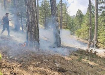 Muğla’da düşen yıldırımlar nedeniyle 1 hektar orman yandı