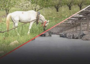 Sanayi ve tarımı vuran siyasetten 9 ay sonra dönüldü