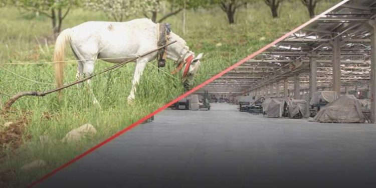 Sanayi ve tarımı vuran siyasetten 9 ay sonra dönüldü