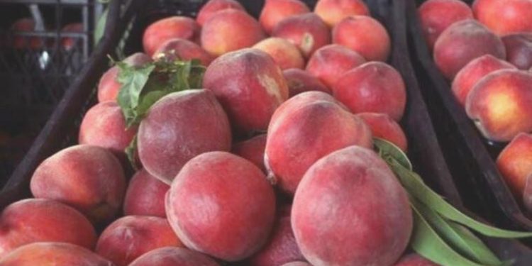 Şeftali’nin kilosu halde 7 lira, markette 27 lira