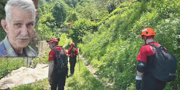 Şifalı ot toplamak için çıktığı Uludağ’da kayboldu