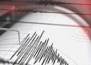 Son Dakika: Erzincan ve Kahramanmaraş’ta peş peşe sarsıntı