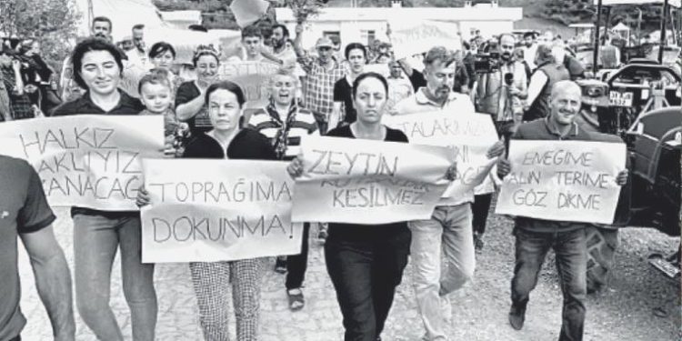 Tapulu tarım yerlerine konut yapılmak isteniyor