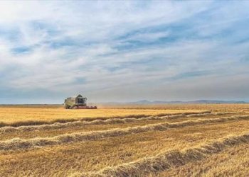 Tarımda üretici enflasyonu yıllık arttı