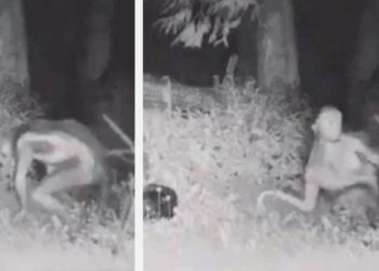 Toplumsal medyada infial yaratmıştı… ABD’deki ‘uzaylı’ imajı gerçek mi?