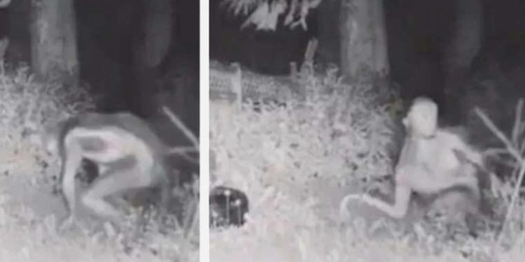 Toplumsal medyada infial yaratmıştı… ABD’deki ‘uzaylı’ imajı gerçek mi?