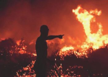 Türkiye orman yangınlarına hazır mı?