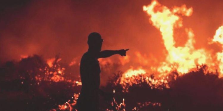 Türkiye orman yangınlarına hazır mı?