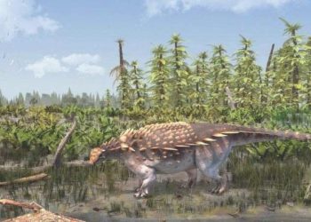 Vectipelta baretti: Yeni bir dinozor çeşidi keşfedildi