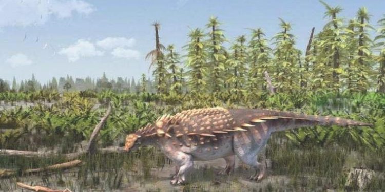 Vectipelta baretti: Yeni bir dinozor çeşidi keşfedildi