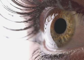 Yanılsamalar beynimizde değil gözümüzde oluyor!