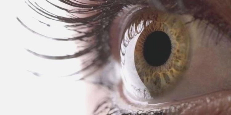 Yanılsamalar beynimizde değil gözümüzde oluyor!