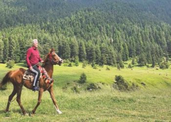 ‘Yaraları turizmle saralım’