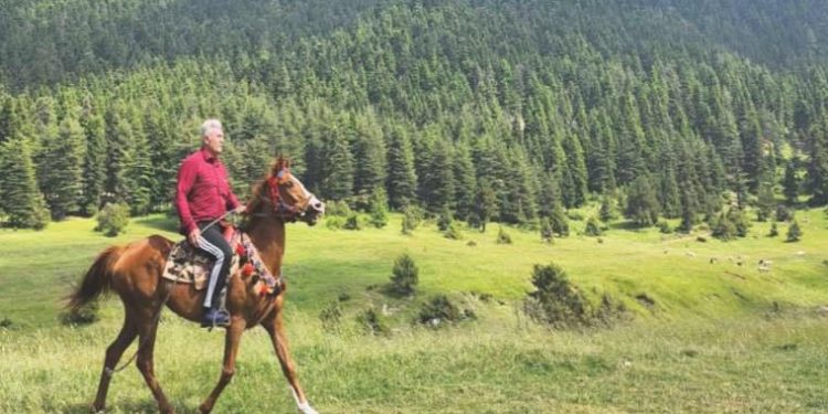 ‘Yaraları turizmle saralım’