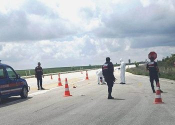 Yol Kenarındaki Vahşette 4 Gözaltı!