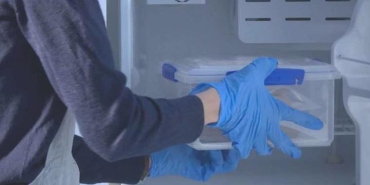 20 yıllık araştırma, temizlikçi yüzünden çöp oldu