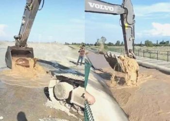 4 kilometre sürüklendi: Su kanalına düşen boğayı kepçeyle kurtardı