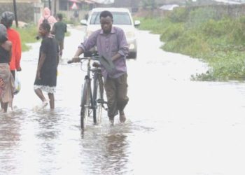 53 yılda 2 milyon can kaybı