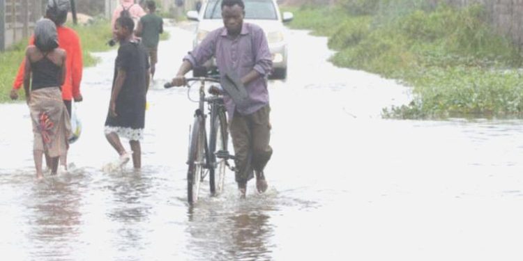 53 yılda 2 milyon can kaybı