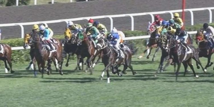 97. Gazi Koşusu ne vakit, saat kaça, hangi kanalda? Gazi Koşusu’nda hangi atlar yarışacak? Gazi Koşusu mükafatı ne?