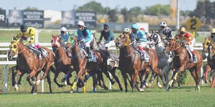 97. Gazi Koşusu’na kayıt yaptıran safkanlar aşikâr oldu!