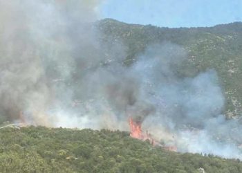 Antalya Kaş’ta orman yangını: 1 saatte söndürüldü