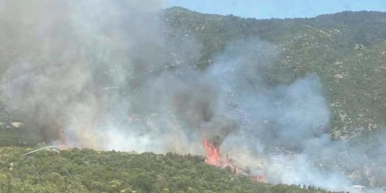Antalya Kaş’ta orman yangını: 1 saatte söndürüldü