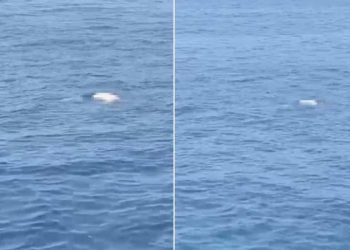 Antalya’da denizde cansız vücut bulundu