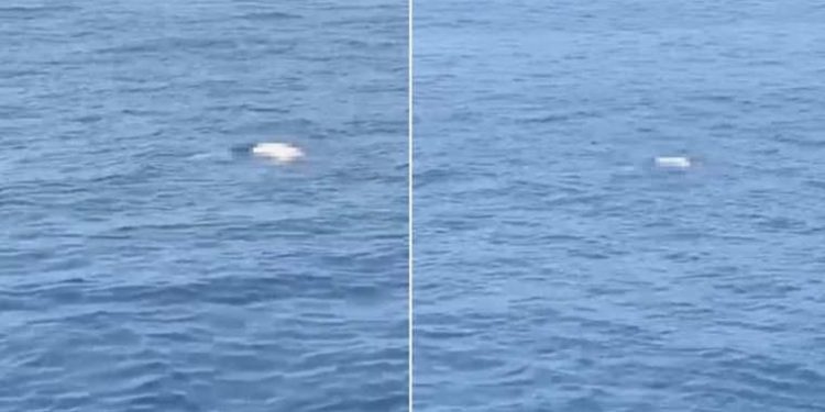 Antalya’da denizde cansız vücut bulundu