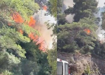 Antalya’da konteyner yangını: Alevler ormana sıçradı!