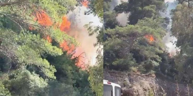 Antalya’da konteyner yangını: Alevler ormana sıçradı!