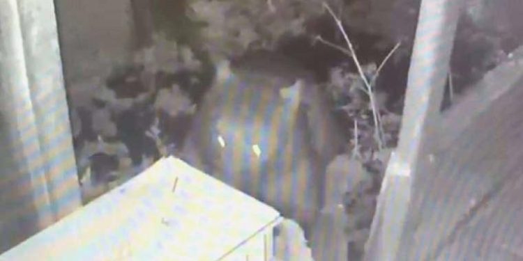 Artvin’de balkon kapısını kırarak konuta giren ayı, dolaptaki reçelleri yedi