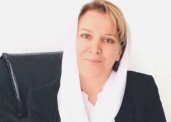 Ayşe Hatası kimdir, nereli, kaç yaşında? YETERLİ Parti Parti İçi Eğitim Lideri Ayşe Kabahati hangi partilerde misyon yaptı?