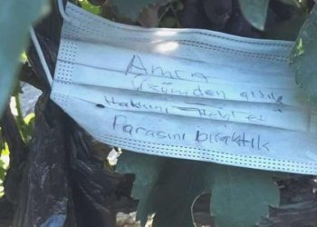 Bağdan kopardıkları üzüm için para bıraktılar