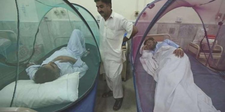 Bangladeş’te dang humması salgınında can kaybı 62’ye yükseldi