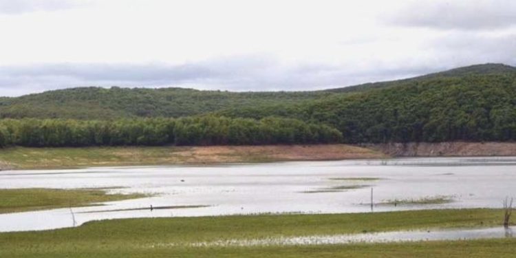 Baraja giren down sendromlu çocuk boğuldu