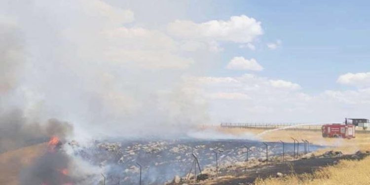 Batman’da orman yangını: 750 dönüm yandı