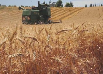 Besinde tehlike çanları!