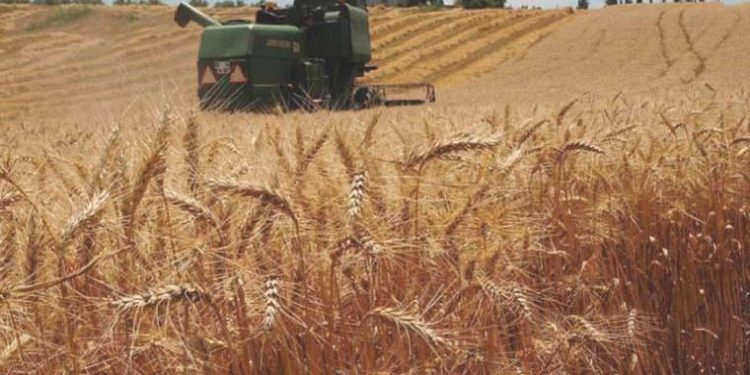 Besinde tehlike çanları!