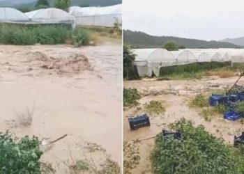 Bilecik’te sağanak: Seralar su altında kaldı!