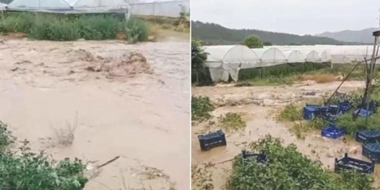 Bilecik’te sağanak: Seralar su altında kaldı!