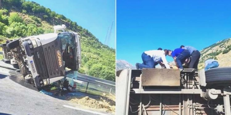 Bitlis’te TIR devrildi: Şoför ve 150 kurbanlık koyun öldü