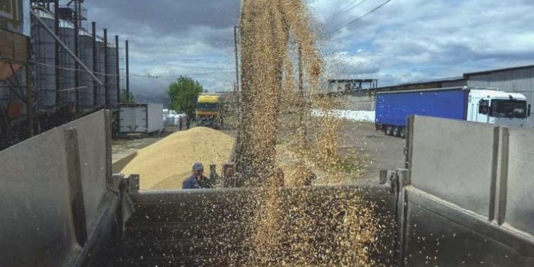 BM, tahıl koridoru muahedesinin devam etmesi için davet yaptı